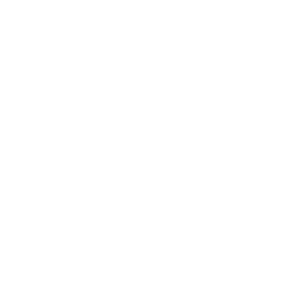 Custom Logo